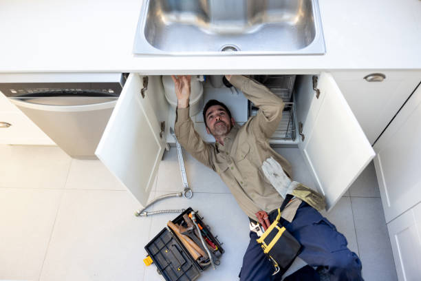 Best Toilet Repair Services  in Hawthorn Woods, IL